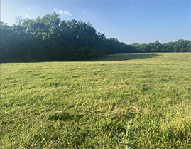 Land For Sale 24 Acres